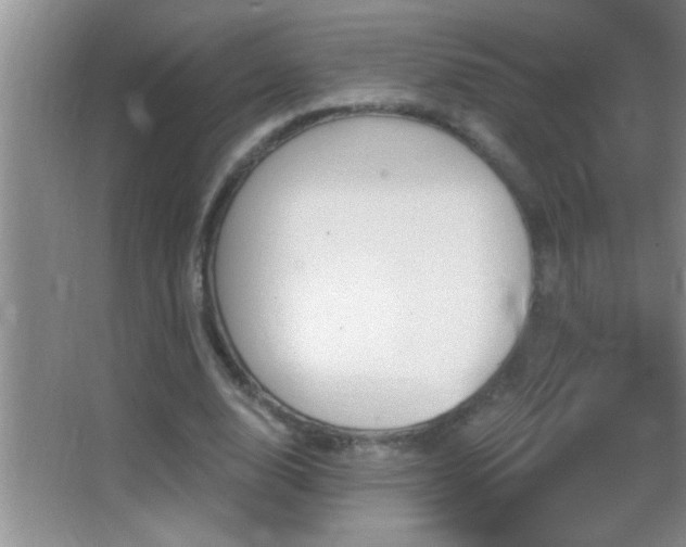 X0000062910632200601131427