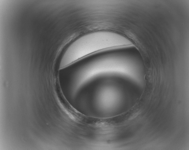 X0000062910634200601131427