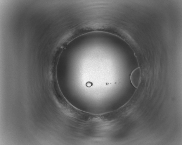 X0000062910635200601131427