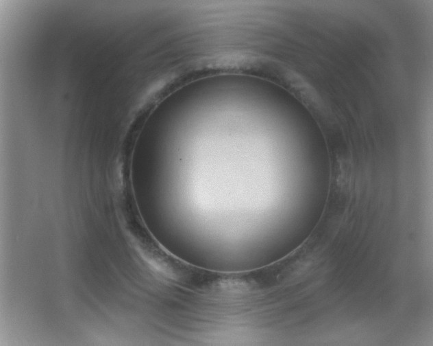 X0000062910636200601131427