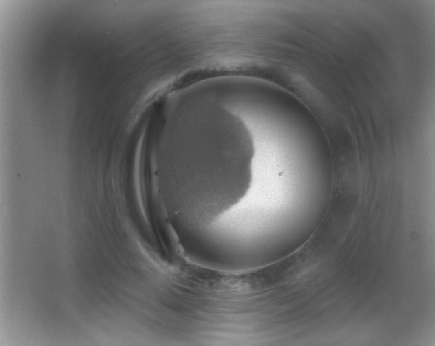 X0000062910640200601131427