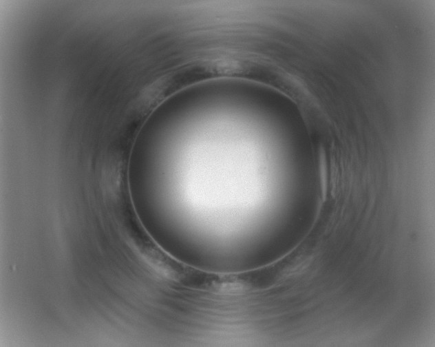 X0000062910645200601131427