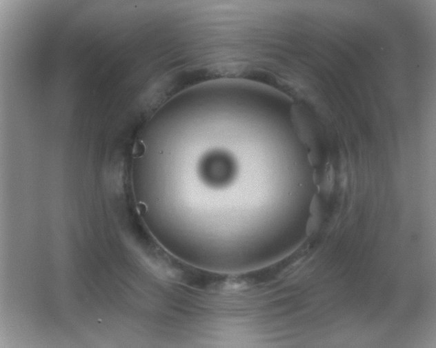 X0000062910647200601131427