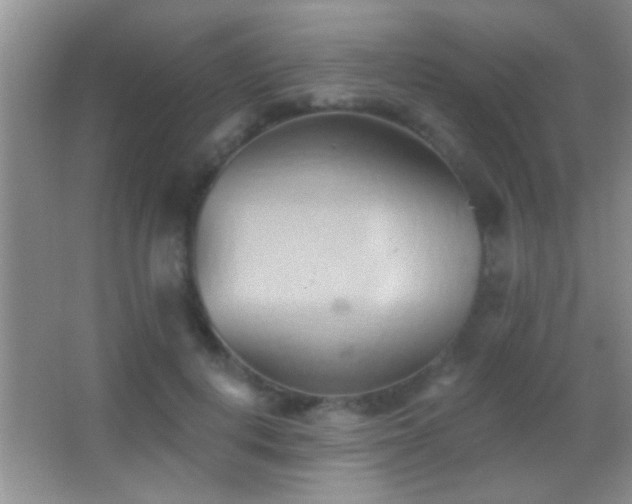 X0000062910648200601131427