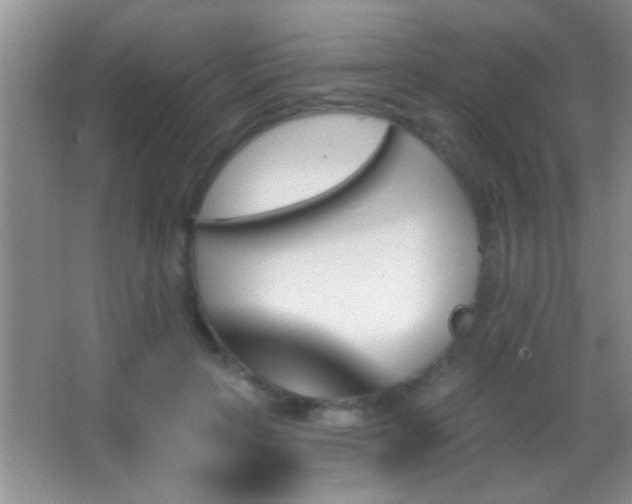 X0000062910649200601131427