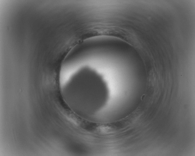 X0000062910650200601131427