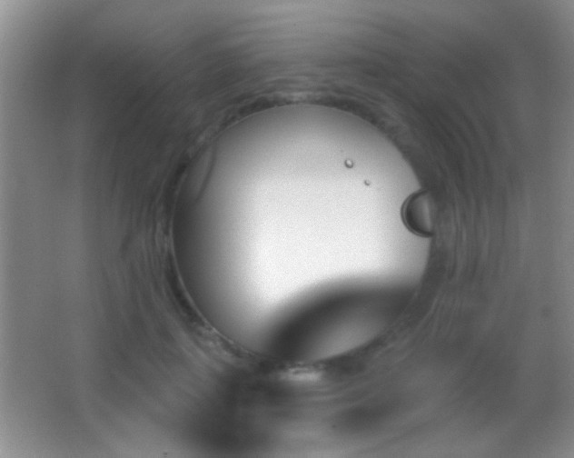 X0000062910651200601131427