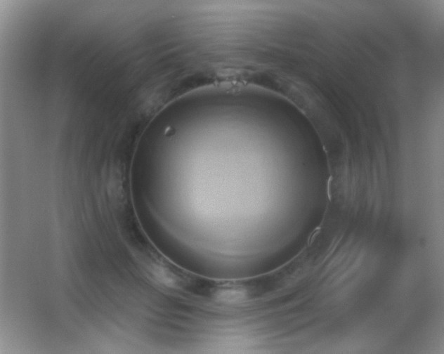 X0000062910653200601131427