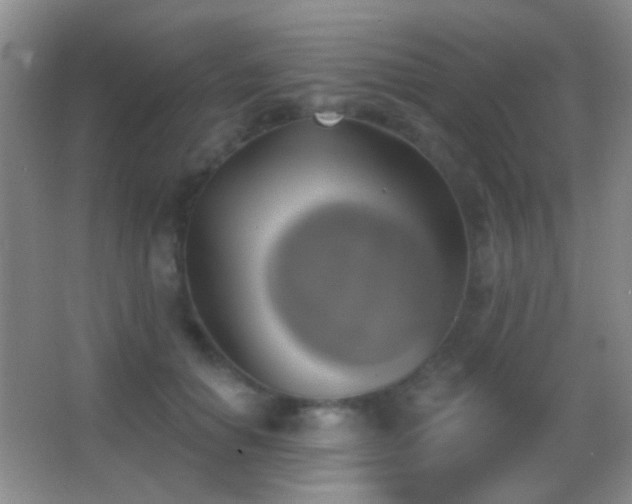 X0000062910654200601131427