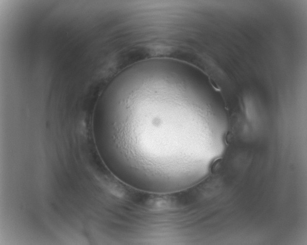 X0000062910655200601131427