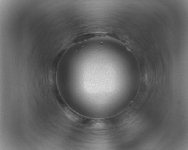 X0000062910658200601131427