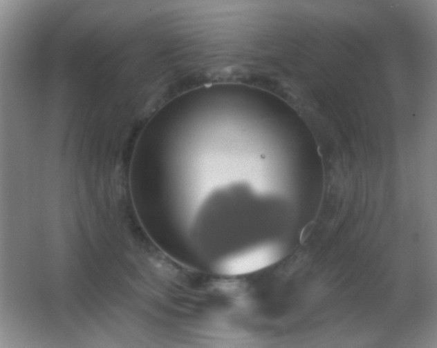 X0000062910659200601131427