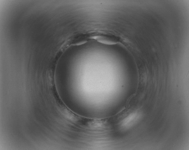 X0000062910661200601131427