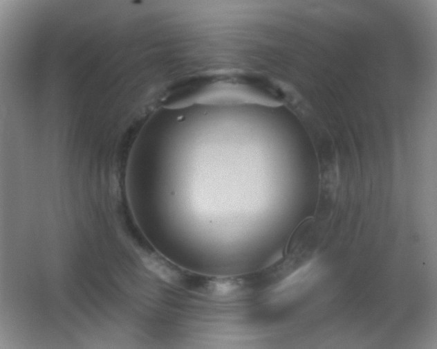 X0000062910662200601131427