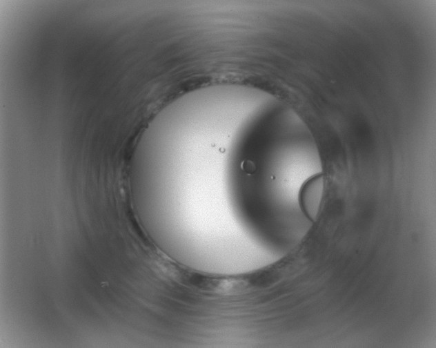 X0000062910663200601131427