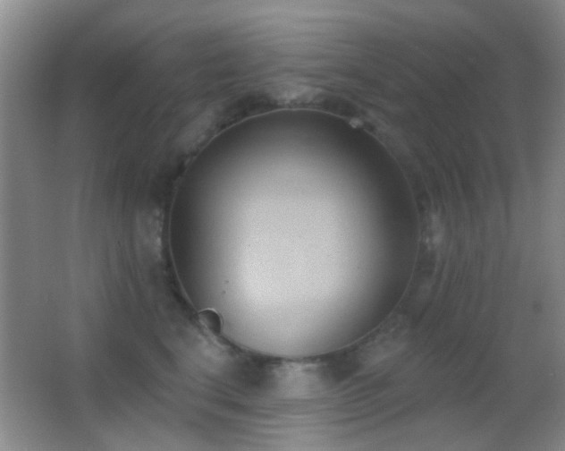 X0000062910664200601131427