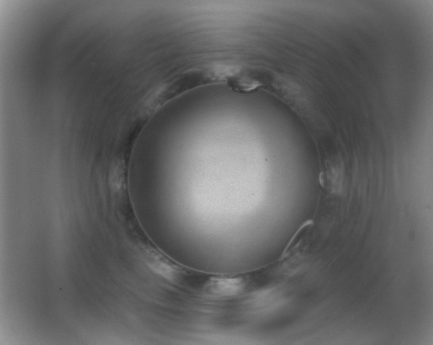 X0000062910665200601131427