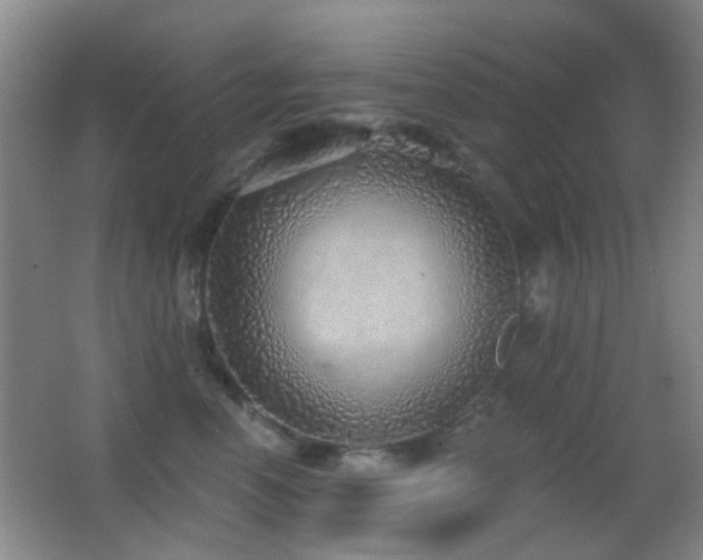 X0000062910666200601131427