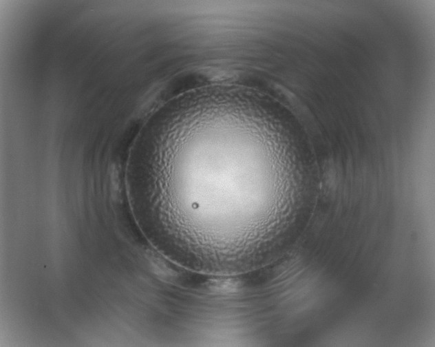 X0000062910667200601131427