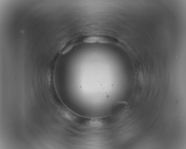 X0000062910668200601131427