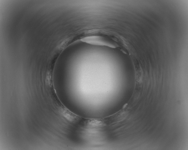 X0000062910669200601131427