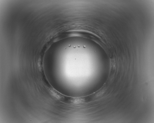 X0000062910670200601131428