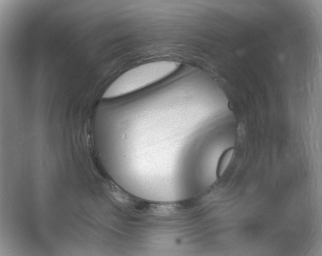 X0000062910671200601131428