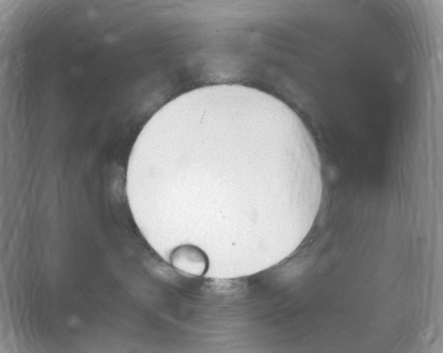 X0000062910672200601131428