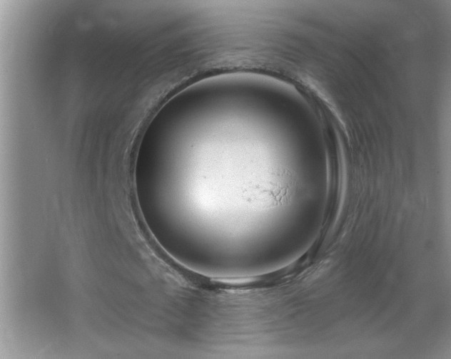 X0000062910673200601131427