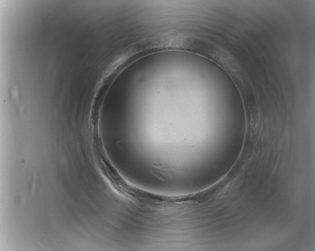 X0000062910674200601131427