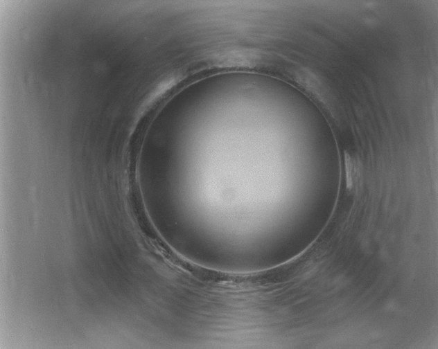 X0000062910675200601131427