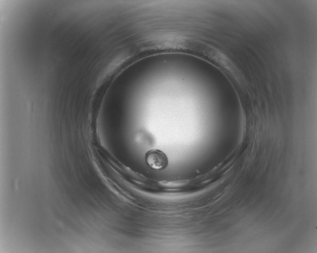 X0000062910677200601131427