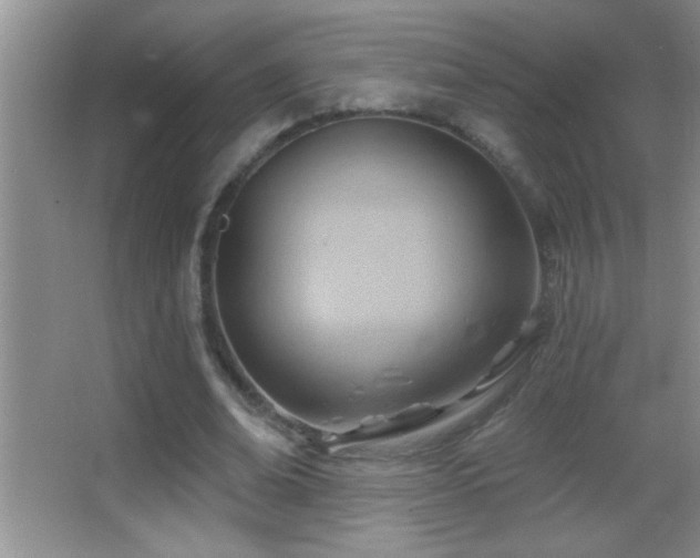 X0000062910678200601131427