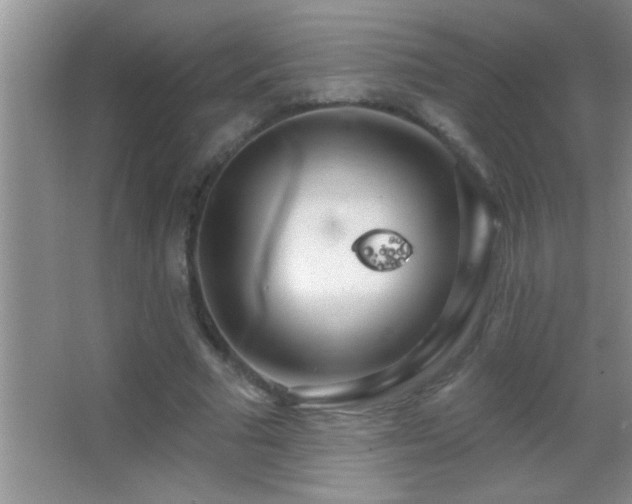 X0000062910681200601131427