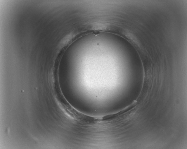 X0000062910682200601131427