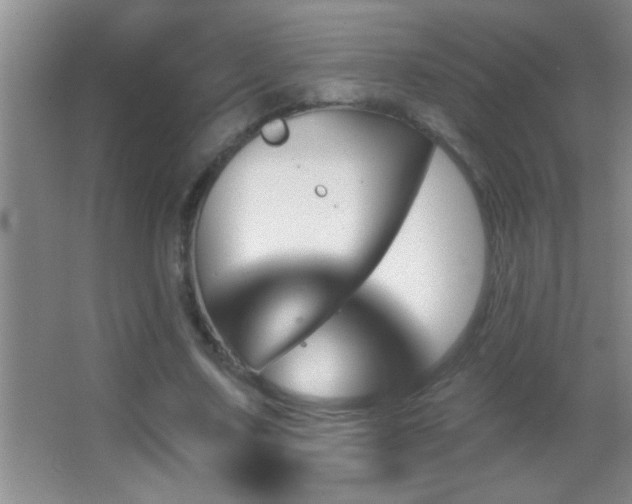 X0000062910683200601131427