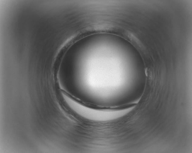 X0000062910684200601131427