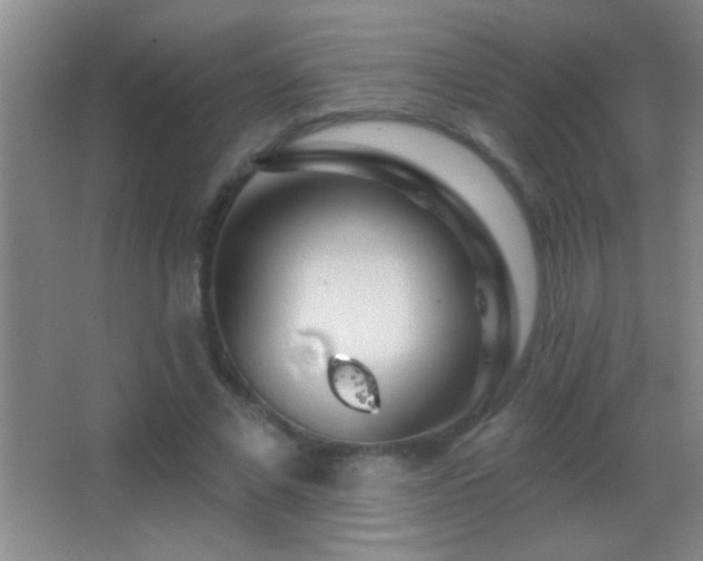 X0000062910685200601131427