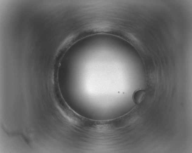 X0000062910686200601131427