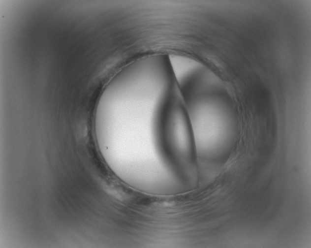 X0000062910687200601131426