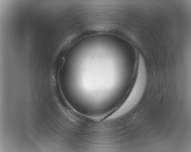 X0000062910688200601131426