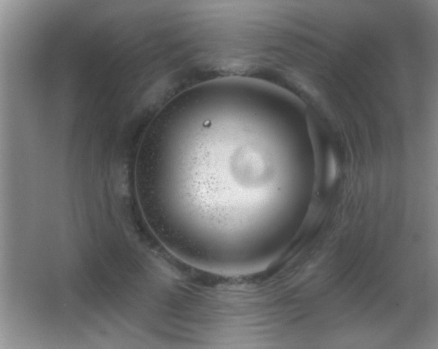 X0000062910689200601131426