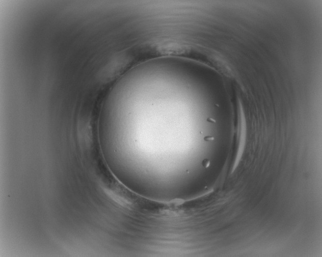 X0000062910690200601131426