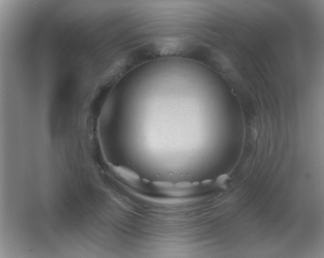 X0000062910691200601131426