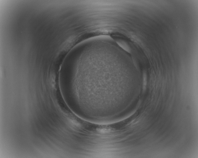 X0000062910693200601131426