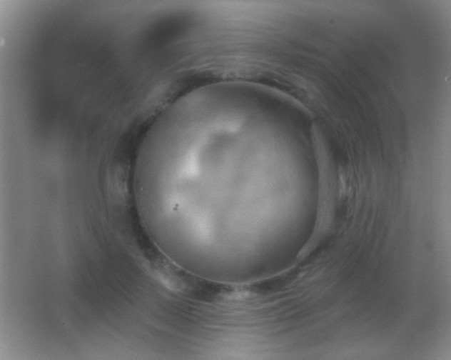 X0000062910695200601131426