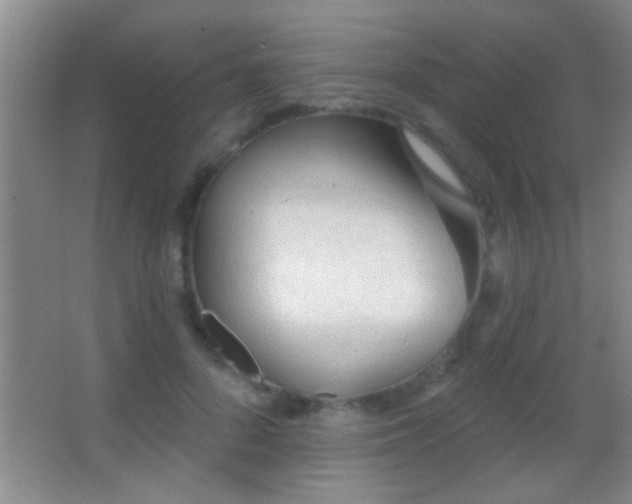 X0000062910696200601131426