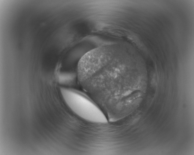 X0000062910697200601131426