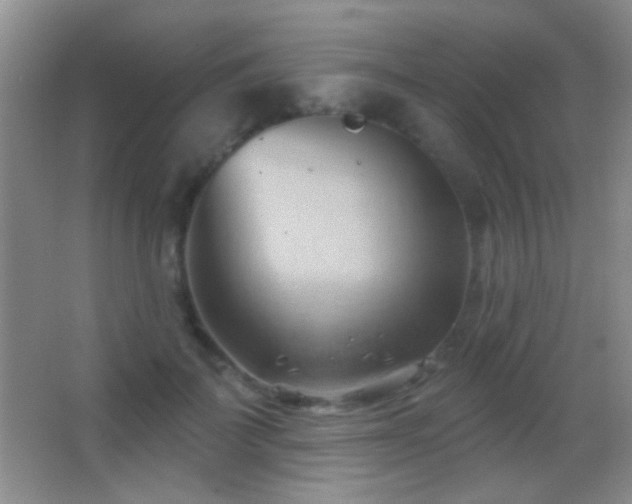 X0000062910699200601131426