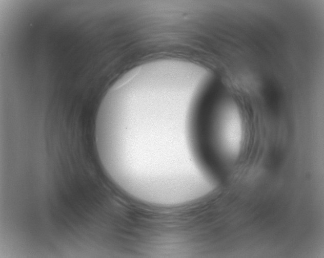 X0000062910701200601131426